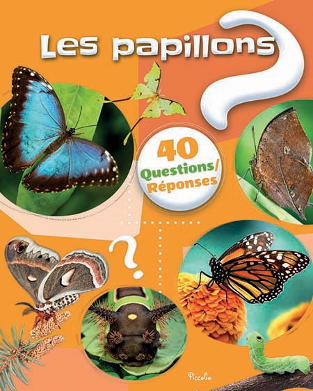 COUV 40 Questions-reponses PAPILLONS