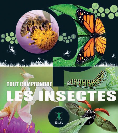 COUV TOUT COMP INSECTES