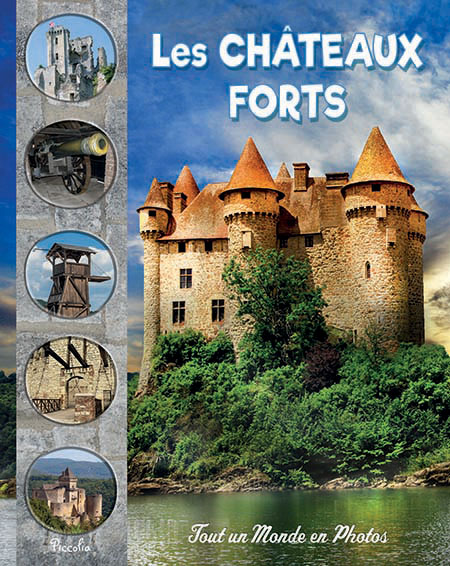 couv TUMP chateaux forts4