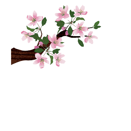 deco cerisier