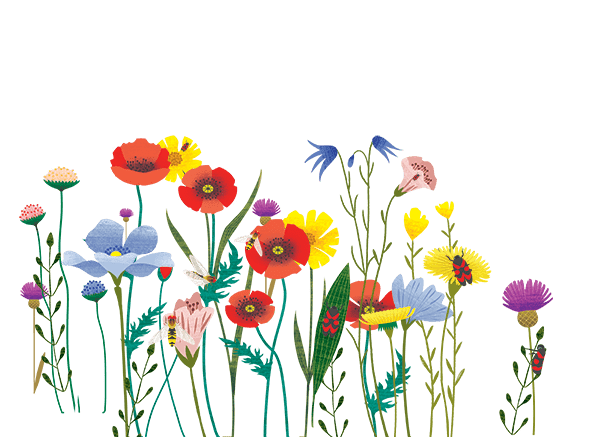 deco fleurs