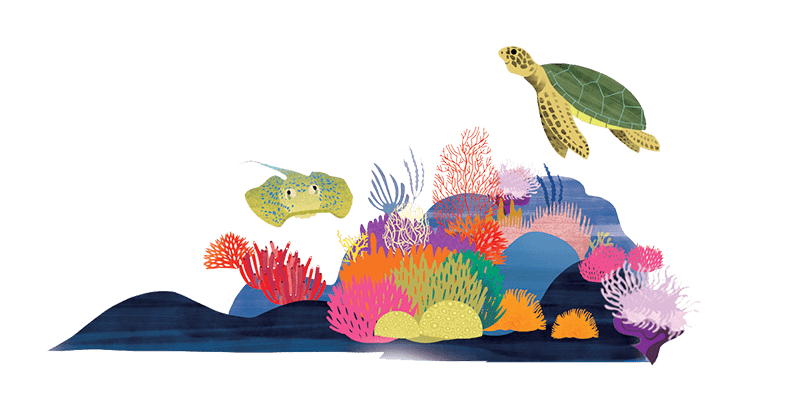 déco mer recif tortue